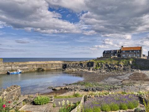 Craster