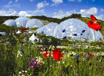 Eden Project