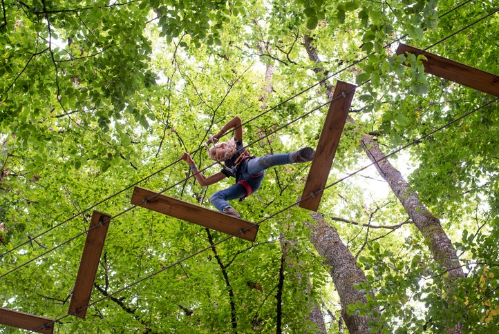 Tree Top Trek