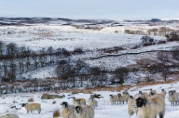 Winter over Yorkshire