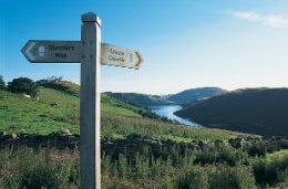 See the real Wales, the wild Wales