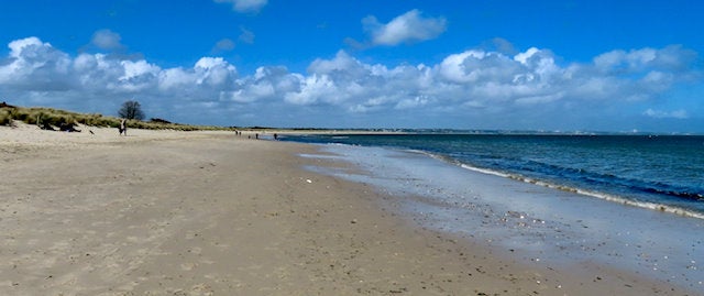 wide open sandy beach