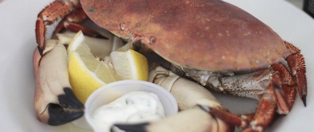 Fresh crab at Storm in a teacup