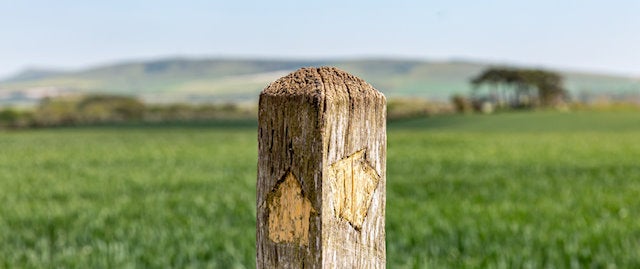 A wooden signpost with direction signs for walking trails