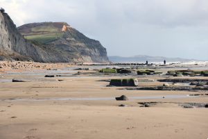 charmouth Beach