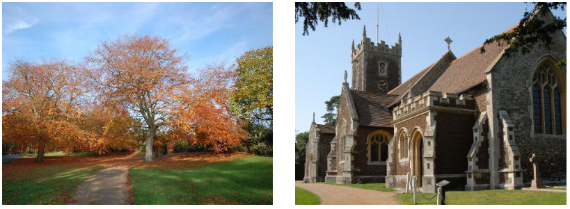  The Grounds at Sandringham  St. Mary Magdalene Church, Sandringham