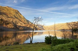 Lake with tree in foreground with mountains behind