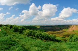 The rolling green hills of a National Park beneath a blue sky dotted with fluffy blue clouds