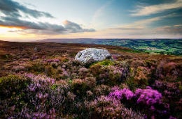 Much Moor Yorkshire: Dales Cottages You’ll Love The rich purple moss of the Yorkshire Dales with the heavens above.